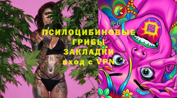 скорость Бородино