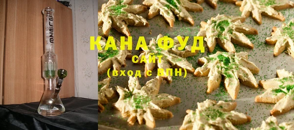 гашик Вяземский