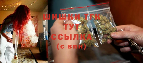 гашик Вяземский