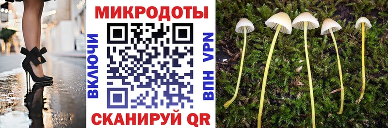 Галлюциногенные грибы мухоморы Зима