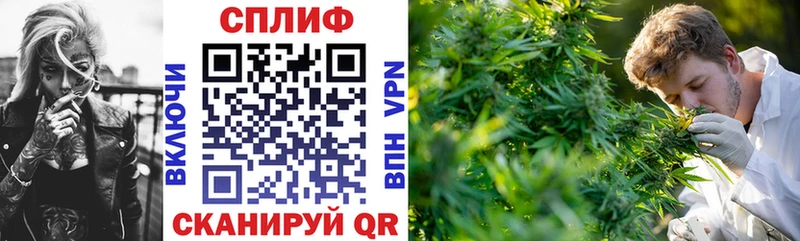 Конопля конопля  Зима 